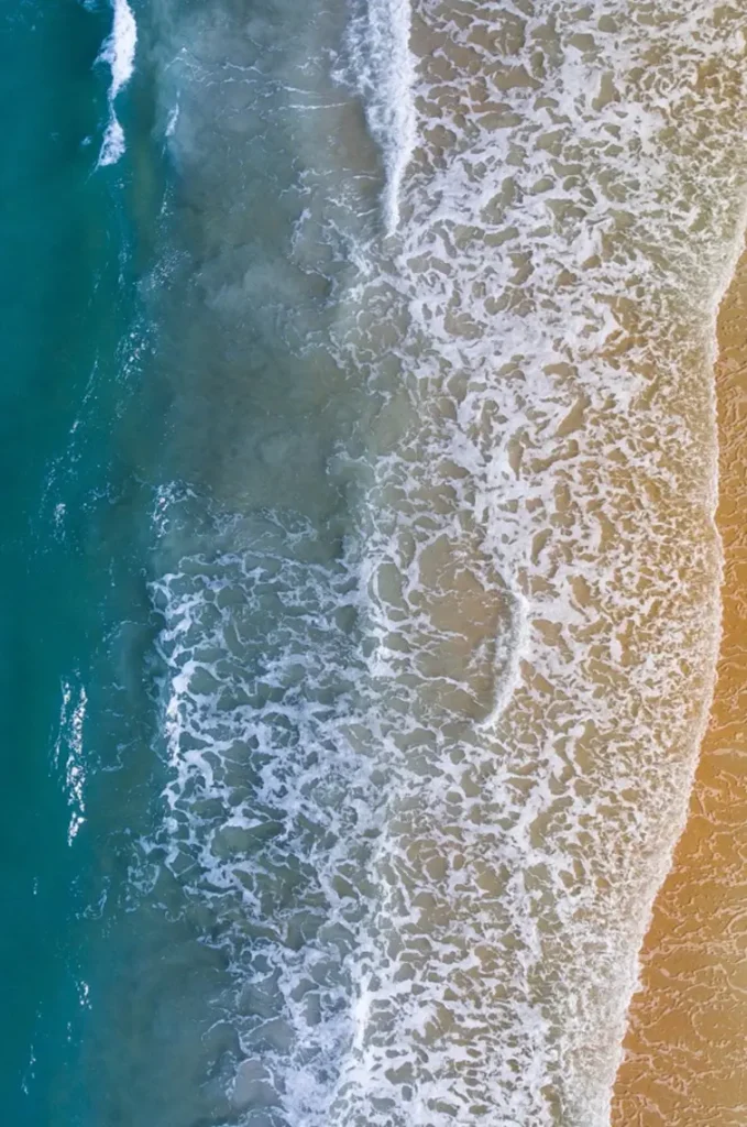 شاطئ البحر